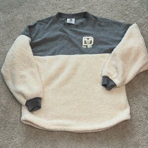 Disney Spirit Jersey